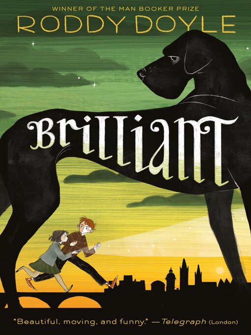 Cover image for Brilliant